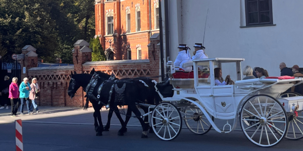 Two black horses pull a white carriage through the center of Krakow.